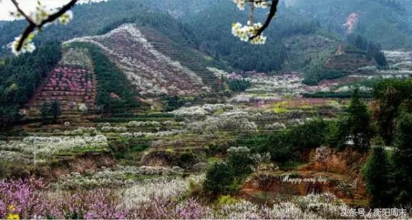 深呼吸！去九峰山湘南大竹海做个肺部SPA！